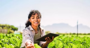 ACU Commonwealth Climate Resilience Challenge Grants 2025 (up to £3,000)