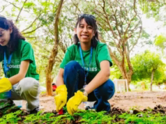 AFS Global STEM Academies 2025 (Scholarship available)