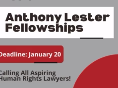 Anthony Lester Fellowship 2025-2026 ($25,000 stipend)