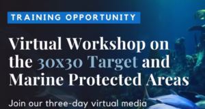 EJN Virtual Media Workshop on the 30×30 Target and Marine Protected Areas 2025