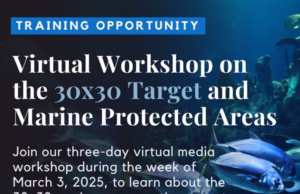 EJN Virtual Media Workshop on the 30×30 Target and Marine Protected Areas 2025