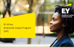EY Africa Enterprise Impact Program 2025