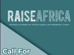 RAISEAfrica – Renewables Accelerator Program 2025 for Innovative Startups and Entrepreneurs in Africa