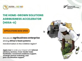 home-grown-solutions-agribusiness-accelerator-(hgsa-a)-2025