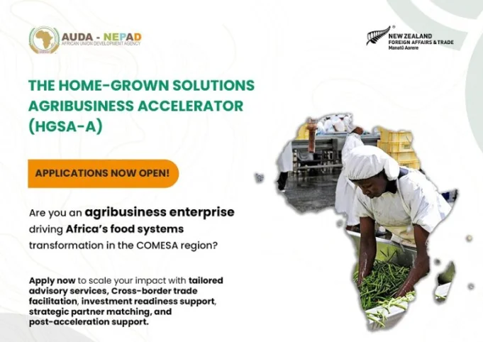 home-grown-solutions-agribusiness-accelerator-(hgsa-a)-2025 home-grown-solutions-agribusiness-accelerator-(hgsa-a)-2025