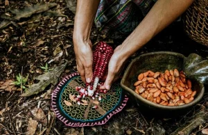 World Food Forum (WFF) Young Chefs Programme 2026-2027 world-food-forum-(wff) young-chefs-programme-2026-2027