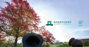 Wageningen Social & Economic Research (WSER) Traineeship 2026 wageningen-social-&-economic-research-(wser)-traineeship-2026