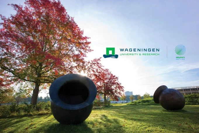 wageningen-social-&-economic-research-(wser)-traineeship-2026