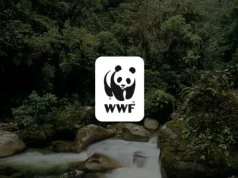 WWF Gustavo Fonseca Leadership Program 2026-2027 (up to $30,000) wwf-gustavo-fonseca-leadership-program-2026-2027-(up-to-$30,000)