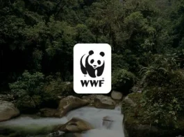 wwf-gustavo-fonseca-leadership-program-2026-2027-(up-to-$30,000)