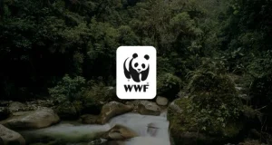 WWF Gustavo Fonseca Leadership Program 2026-2027 (up to $30,000) wwf-gustavo-fonseca-leadership-program-2026-2027-(up-to-$30,000)