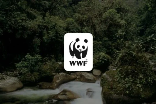 WWF Gustavo Fonseca Leadership Program 2026-2027 (up to $30,000) wwf-gustavo-fonseca-leadership-program-2026-2027-(up-to-$30,000)
