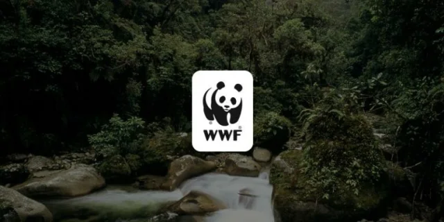 wwf-gustavo-fonseca-leadership-program-2026-2027-(up-to-$30,000) wwf-gustavo-fonseca-leadership-program-2026-2027-(up-to-$30,000)