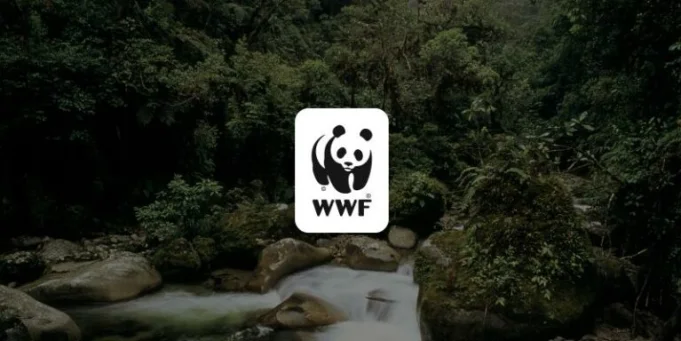 wwf-gustavo-fonseca-leadership-program-2026-2027-(up-to-$30,000)