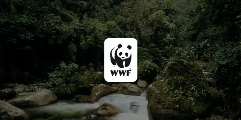 wwf-gustavo-fonseca-leadership-program-2026-2027-(up-to-$30,000)