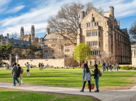 yale-university-council-on-african-studies-visiting-african-scholars-fellowship-2026