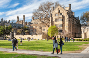 Yale University Council on African Studies Visiting African Scholars Fellowship 2026 yale-university-council-on-african-studies-visiting-african-scholars-fellowship-2026