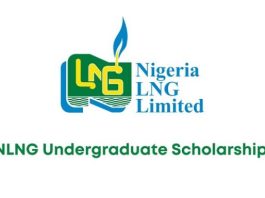 nlng-undergraduate-scholarship-scheme-(ugss)-2026-[nigerians-only]