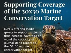 EJN Media Grants to Support Coverage of Countries’ Progress Toward the 30×30 Marine Conservation Target 2026 ($10,000 grant)