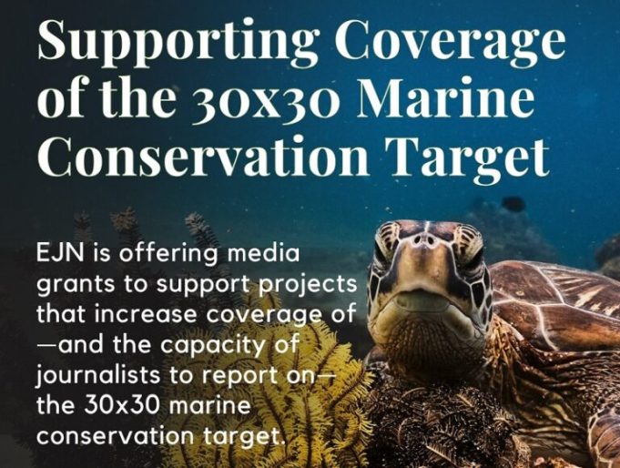 EJN-Media-Grants-to-Support-Coverage-of-Countries-Progress-Toward-the-30x30-Marine-Conservation-Target-2026-768x580
