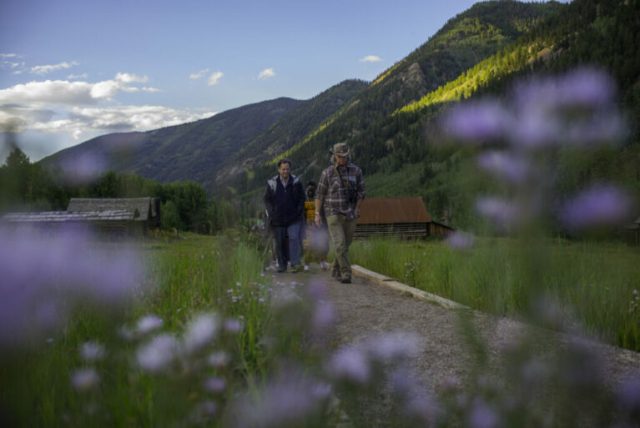 william-randolph-hearst-fellowship-2026 william-randolph-hearst-fellowship-2026