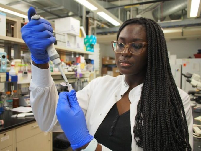 seattle-children’s-research-institute-summer-scholars-program-2026-(stipend-available)