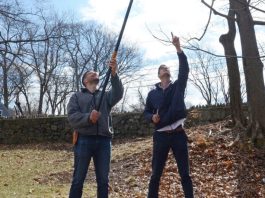 arnold-arboretum-of-harvard-university-postdoctoral-fellowship-2026-(salary-of $83,000)