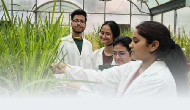 icgeb-arturo-falaschi-phd-fellowships-2026-(funded)