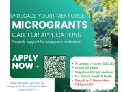 UN DECADE Youth Task Force (YTF) Microgrants for Ecosystem Restoration 2026 ($10,000 total grant) un-decade-youth-task-force-(ytf)-microgrants-for-ecosystem-restoration-2026-($10,000-total-grant)