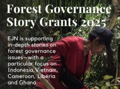 Earth Journalism Network (EJN) Forest Governance Story Grants 2025 earth-journalism-network-(ejn)-forest-governance-story-grants-2025