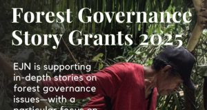 Earth Journalism Network (EJN) Forest Governance Story Grants 2025 earth-journalism-network-(ejn)-forest-governance-story-grants-2025