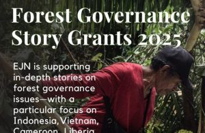 Earth Journalism Network (EJN) Forest Governance Story Grants 2025 earth-journalism-network-(ejn)-forest-governance-story-grants-2025