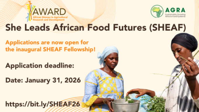 she-leads-african-food-futures-(sheaf)-fellowship-2026