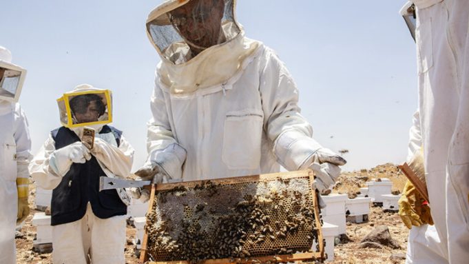 food-and-agriculture-organization-of-the-united-nations-(un-fao)-partnership-award-2026-($10,000-prize)