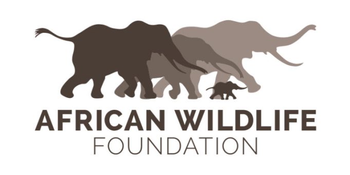 african-wildlife-foundation-(awf)-wall-policy-fellowship-2026 african-wildlife-foundation-(awf)-wall-policy-fellowship-2026