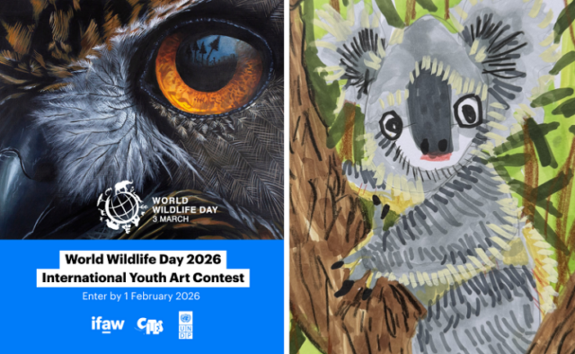 ifaw-world-wildlife-day international-youth-art-contest 2026