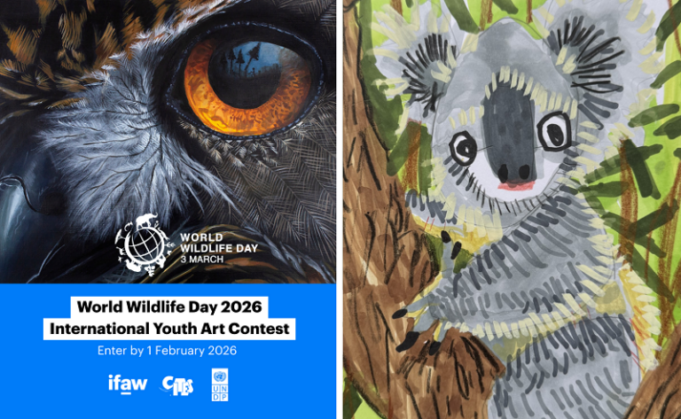 ifaw-world-wildlife-day international-youth-art-contest 2026 ifaw-world-wildlife-day international-youth-art-contest 2026
