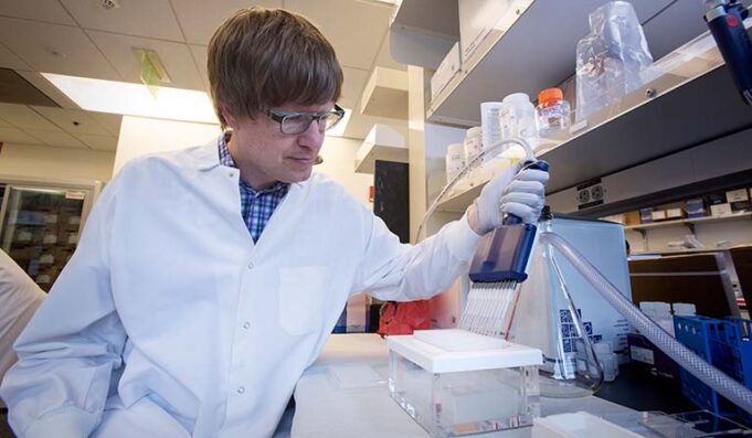 fred-hutch-cancer-center-postdoctoral-research-fellows-program-2026-(paid)