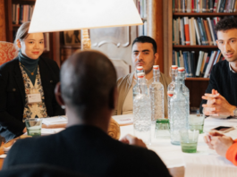 salzburg-global-public-policy-new-voices-europe-(ppnve)-program-–-cohort-5