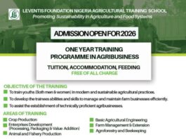 leventis-foundation-nigeria-agricultural-training-programme-2026