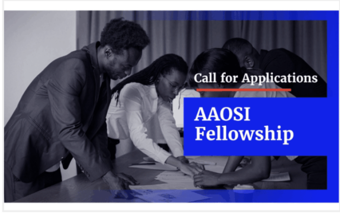 code-for-africa-(cfa)-african-academy-for-open-source-investigation fellowships-2026