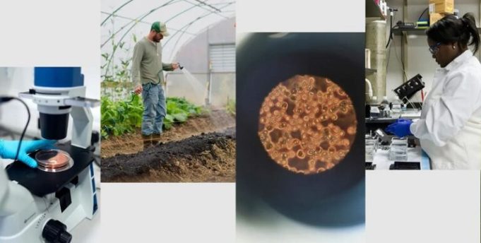 google.org-impact-challenge:-ai-for-science-2026-(up-to-$3m)