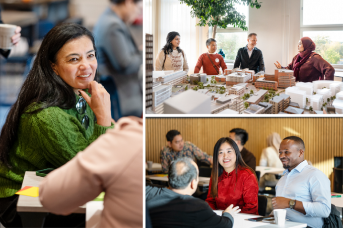 swedish-institute-(si)-global-executive-programme-2026