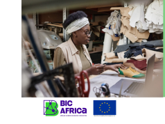 BIC Africa Online Training Programme 2026 for Women Entrepreneurs from Tanzania bic-africa-online-training-programme-2026-for-women-entrepreneurs-from-tanzania