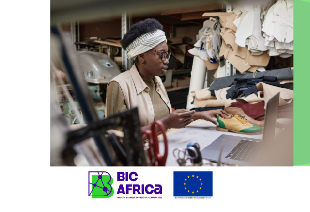 bic-africa-online-training-programme-2026-for-women-entrepreneurs-from-tanzania