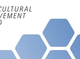 intercultural-achievement-award-2026-(up-to-eur-6,000)