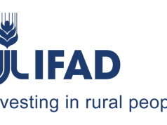 International Fund for Agricultural Development (IFAD) Internship Programme 2026 international-fund-for-agricultural-development-(ifad)-internship-programme-2026