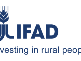 international-fund-for-agricultural-development-(ifad)-internship-programme-2026