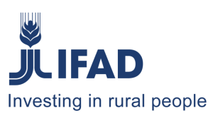 International Fund for Agricultural Development (IFAD) Internship Programme 2026 international-fund-for-agricultural-development-(ifad)-internship-programme-2026