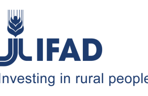 International Fund for Agricultural Development (IFAD) Internship Programme 2026 international-fund-for-agricultural-development-(ifad)-internship-programme-2026